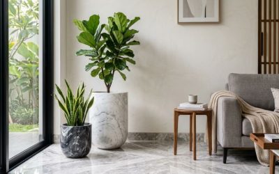 Inspirasi Pot Tanaman Marmer di Sudut Ruangan Menjadikan Rumah Minimalis Jadi Mewah Instan